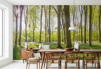 Wooded area Bluebell Woods premium wall mural lush green canopy