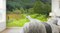 Scenic wall mural showing a narrow road leading into a dense forest. Winding Way.