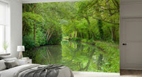 Idyllic forest stream, Stream Escape mural wallpaper, a superb, unspoilt natural image.