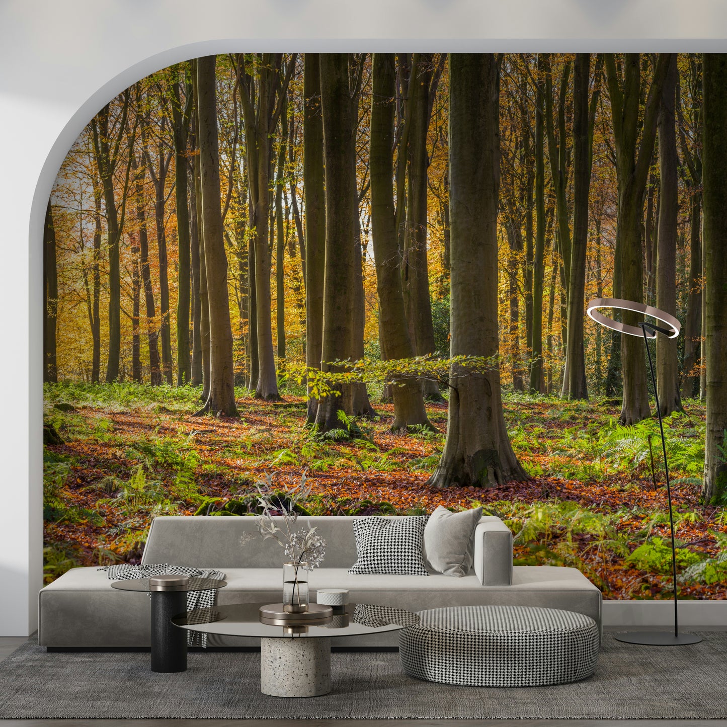 Enchanting Gilded Woods autumnal scene with shadows and bright ground.