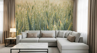 Golden wheat silhouettes against a calm sky create a soothing nature-inspired wallpaper.