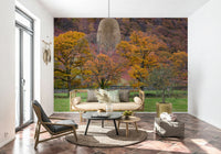 Golden-leafed oak trees set against a colorful hillside create a soothing autumn wallpaper.