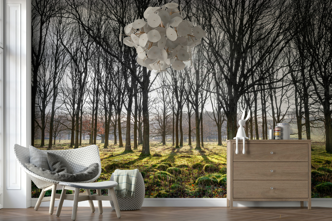 Forest Illumination Wall Mural