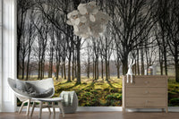 Wallpaper featuring a sunlit forest with tall bare trees casting long shadows over a mossy green ground.