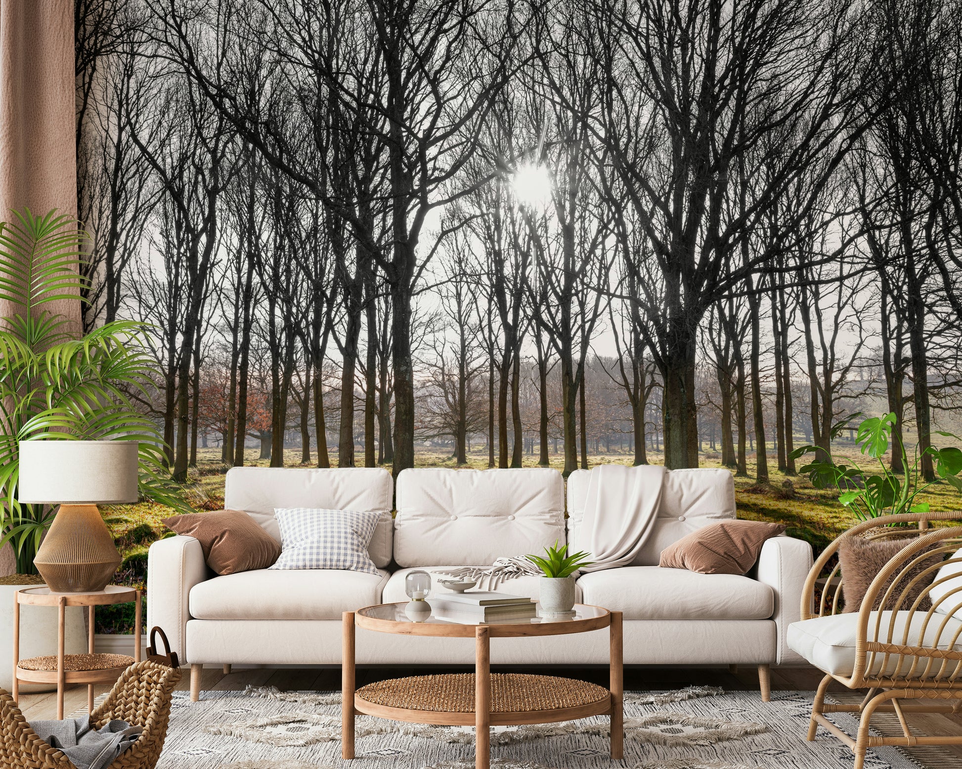 Serene woodland wallpaper capturing morning light streaming through bare tree trunks.