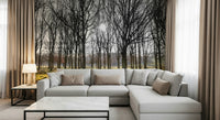 Nature wall mural showing sunlight filtering through dense rows of leafless trees in a forest.