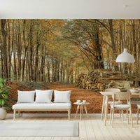 Deep forest atmosphere, serene nature display, Autumn Forest Scene artwork.