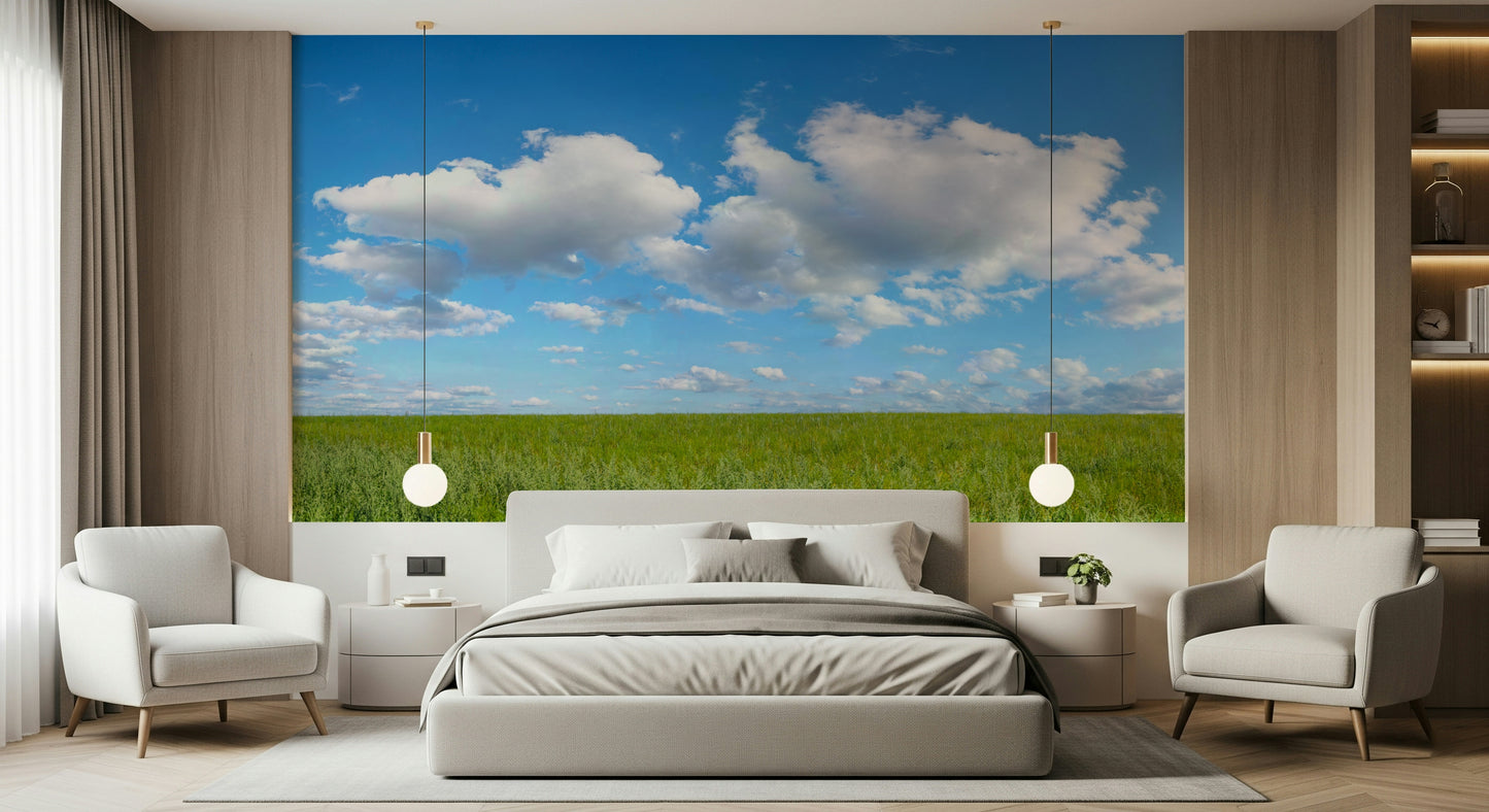 Serene Grassland Under Sky design for wallcovering.