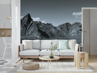 Black-and-white style fjord mural with a contrasting red cabin highlighting the rugged scenery.