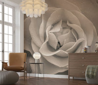 Close-up sepia rose mural showing detailed petal edges and natural water droplets.