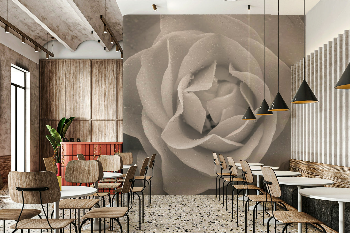 Romantic wall mural featuring a soft-focus sepia rose with shimmering droplets.