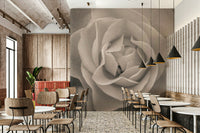 Romantic wall mural featuring a soft-focus sepia rose with shimmering droplets.