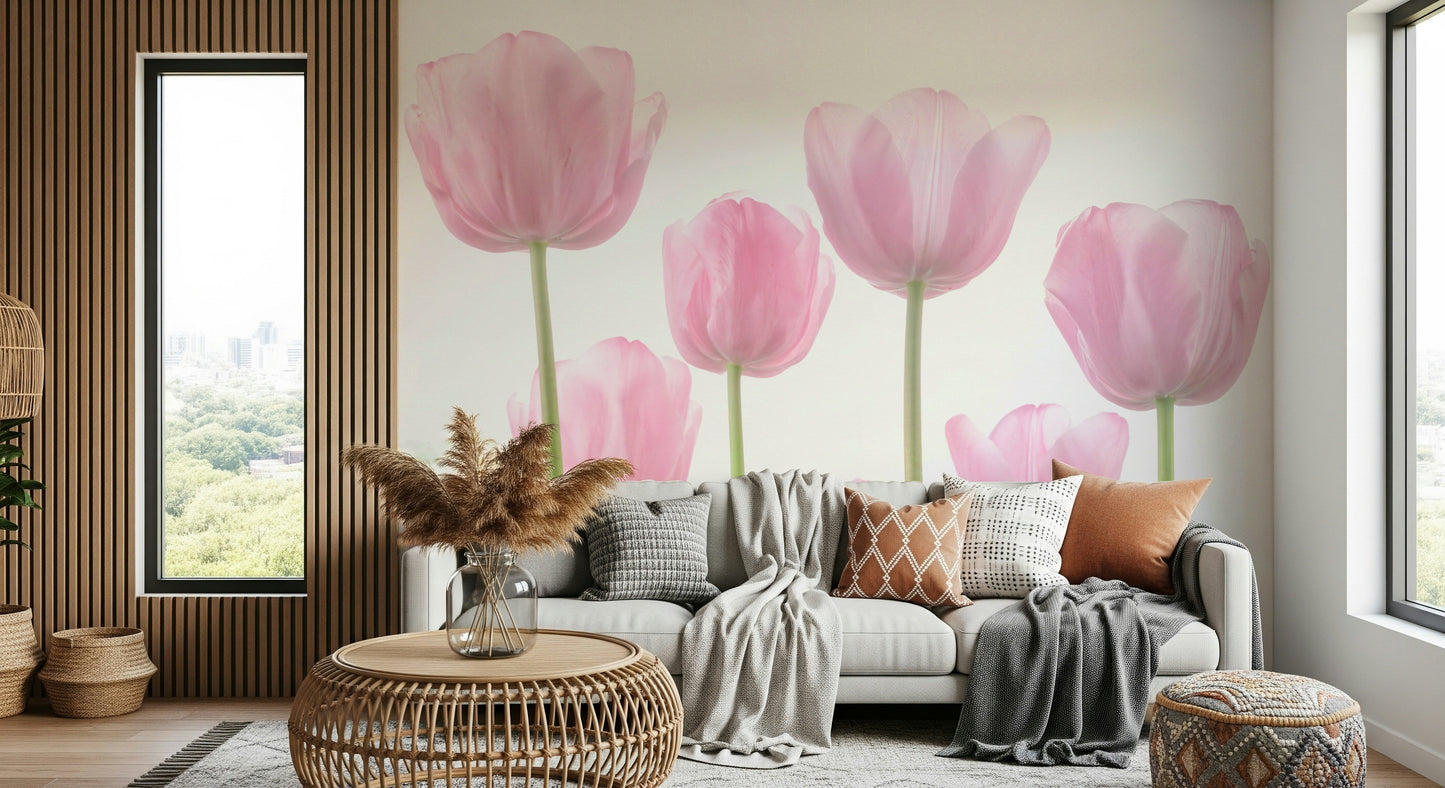 Whisper-soft Tulip bloom wallpaper lovely pink hues.