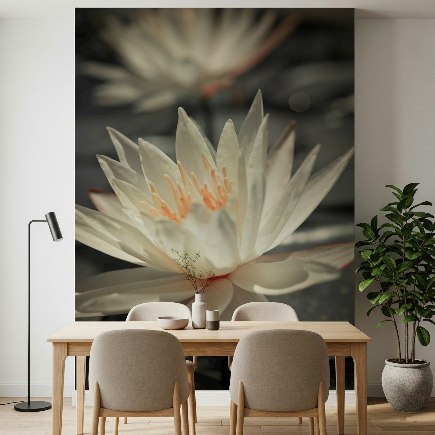 Soft focus bloom Water Lily photograph serene nature wallpaper.