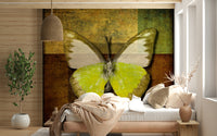 Retro butterfly specimen Wall Mural green and brown distressed style.