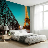 Twinkling Tower Wallpaper Brilliant sight of the French capital's most famous icon.
