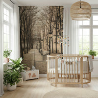 Montmartre Scene Mural Classical architecture towering over the landing.