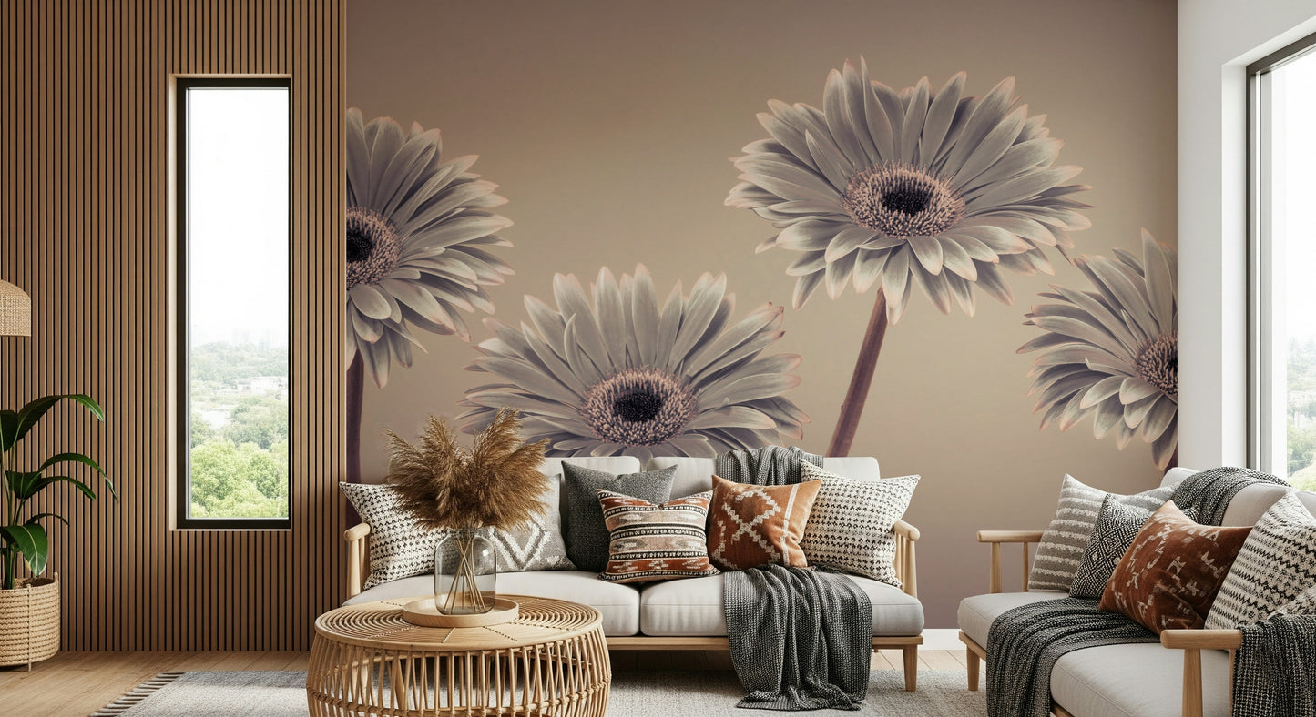 Abstract flower close up Gerbera Calm peaceful mural design element