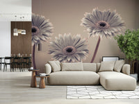 Subtle filter effect Gerbera Calm plant wallpaper decorative purpose
