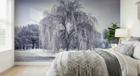 Ethereal Winter Weeping Tree canvas mural, a frozen vista.