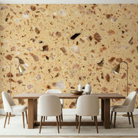 Creamy beige Terrazzo speckled wall mural pattern.