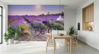 Sunlit Lavender Ride scenic mural, blooming aromatic blossoms.