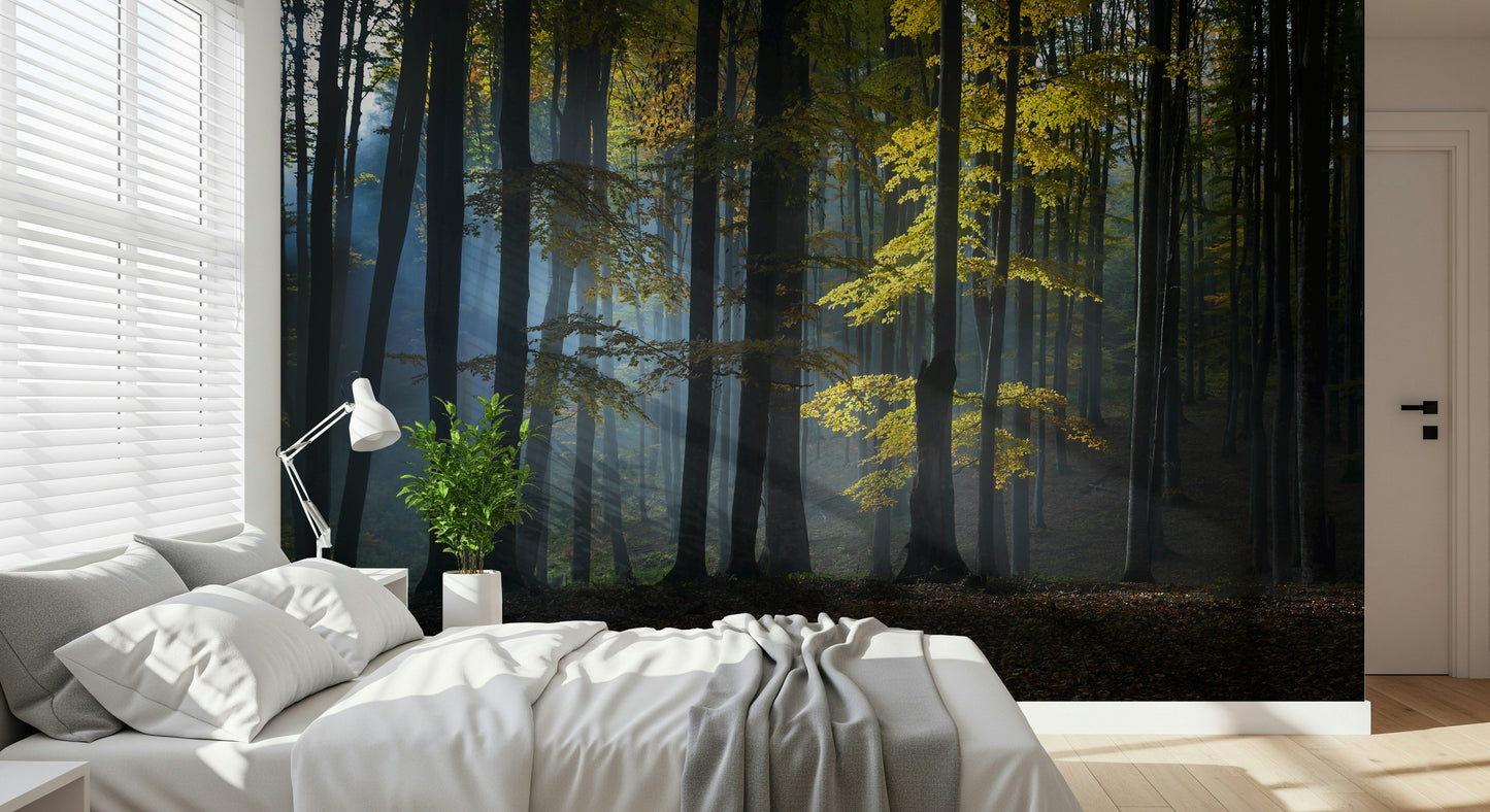 Artistic delicate light on Glimmering Forest Woodland wallpaper.