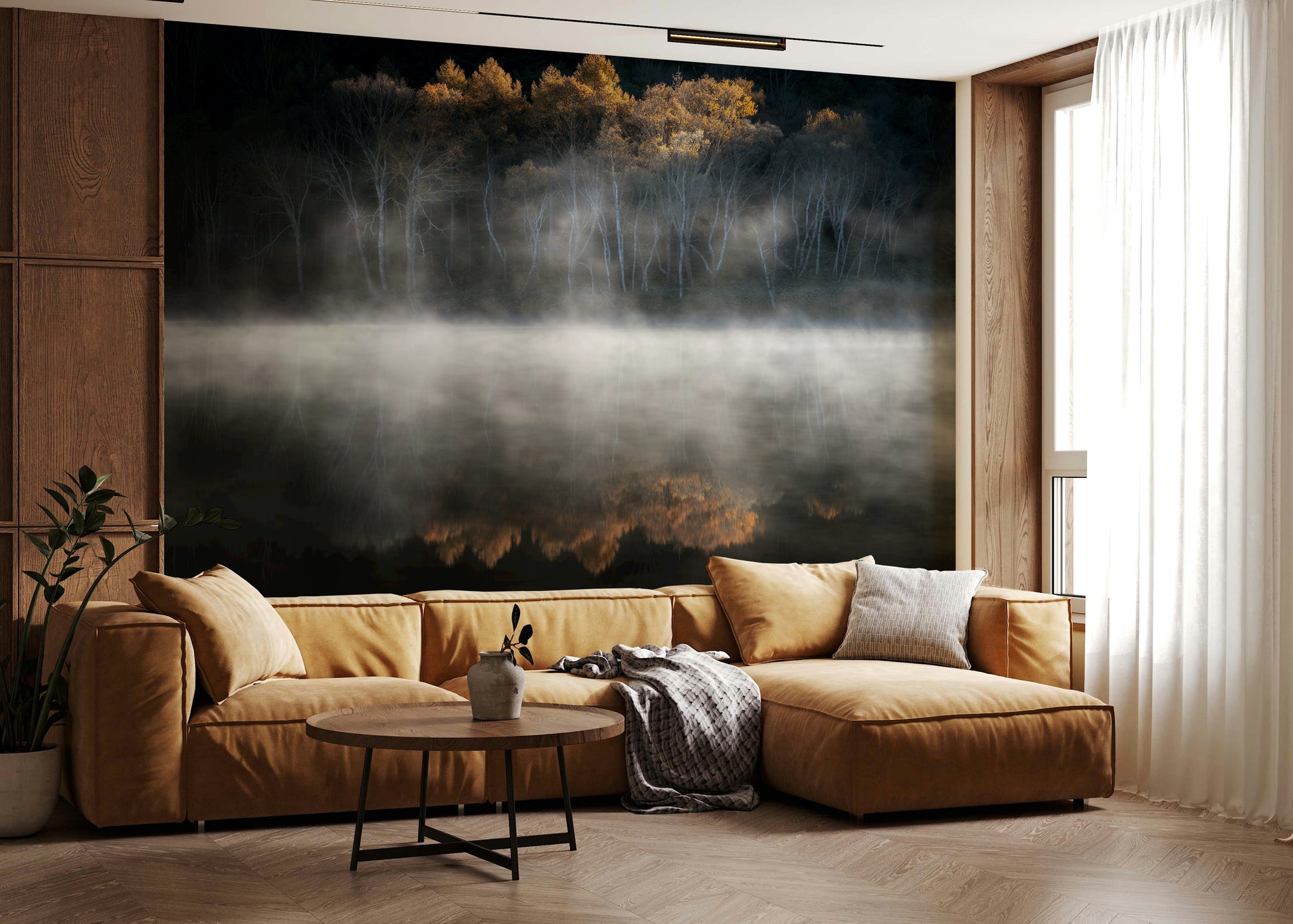 Mist and Light Woodland view, perfect light, tranquil mood, unique decor piece.