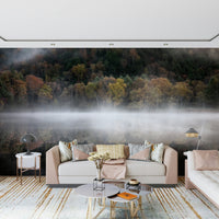 Woodland Reflection wall art, foggy shoreline vista design.