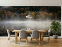 Wall mural Reflection, beautiful woodland fall colors display.