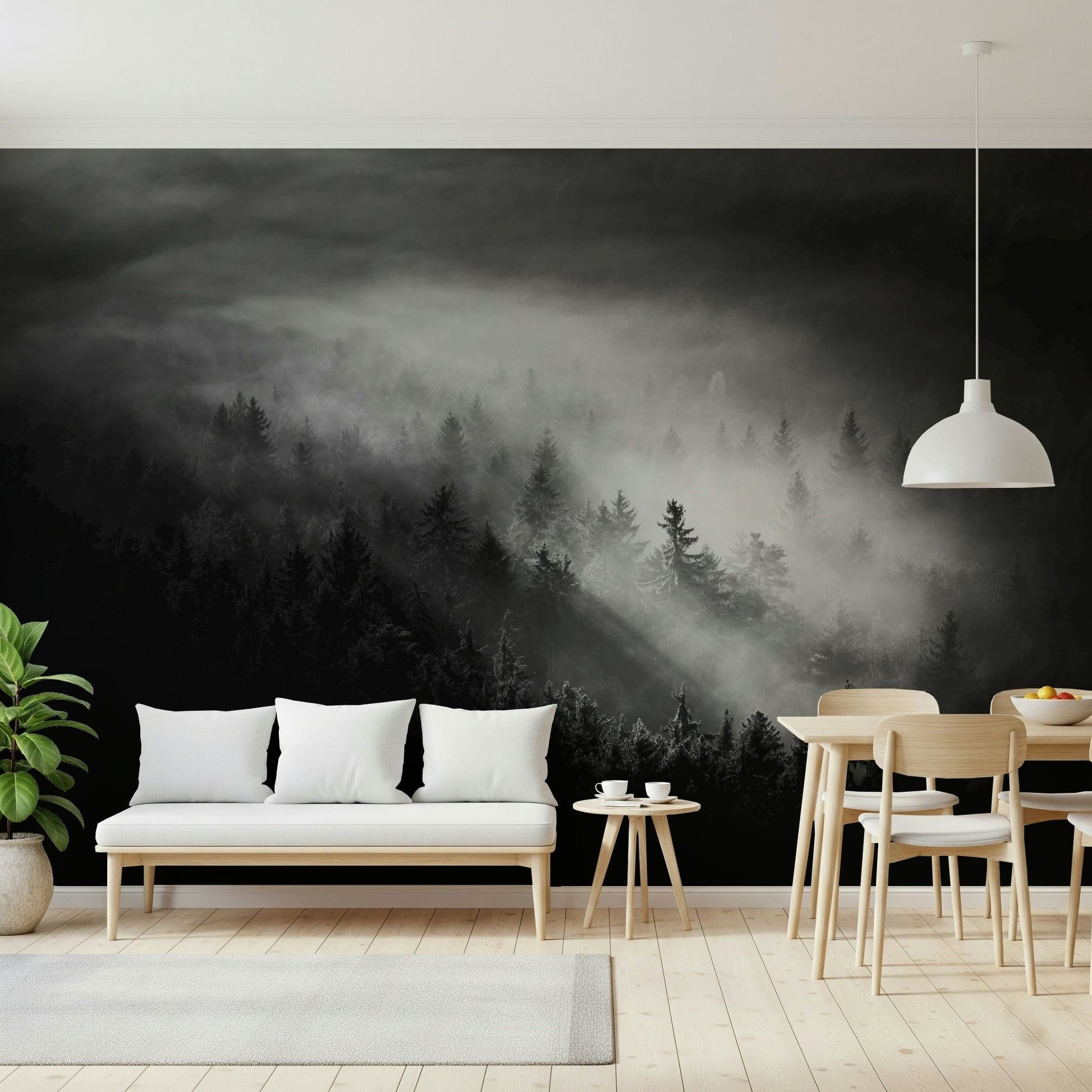Luminous wall mural, silhouetted forest canopy in dense mist.