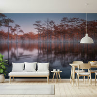 Subdued light over cypress grove wall mural named Woodland Twilight Lagoon.