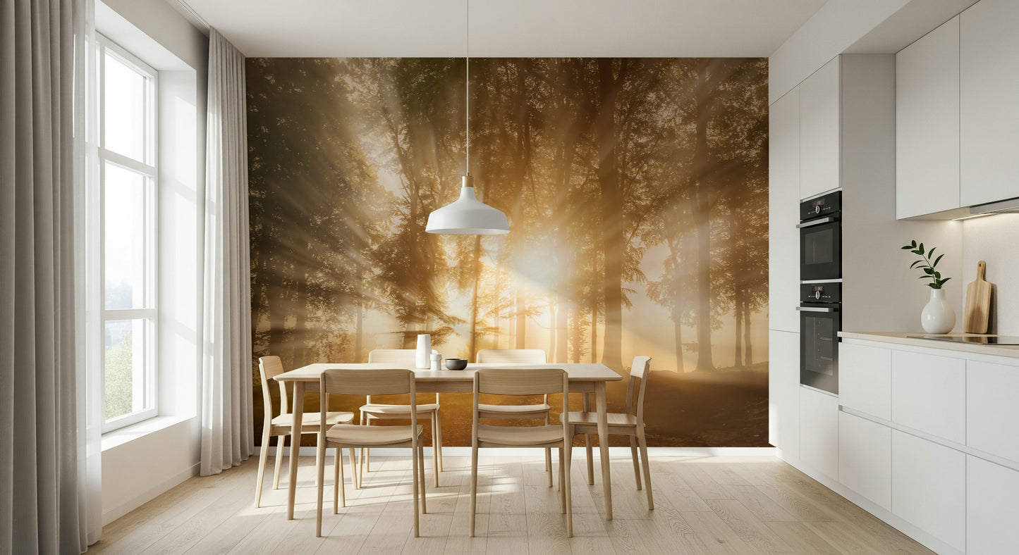Beaming light wood nature Golden Rays Through Trees wallpaper.