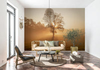 Countryside Golden Mist photography print, sunrise wall mural.