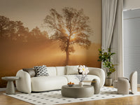 Ethereal Golden Mist wallpaper, field fog sunburst beams.