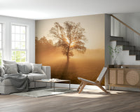 Scenic Golden Mist landscape photo, single tree wall art.