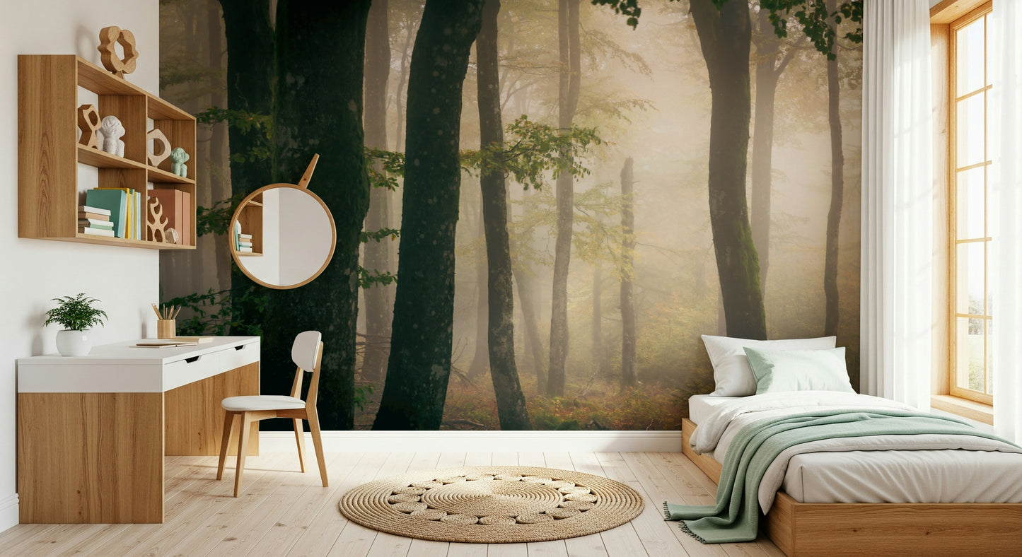 Tranquil Grove wall decor Dark tree trunks, soft ambient fog, beautiful nature view.