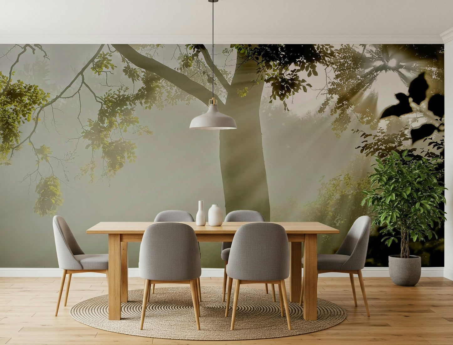 Forest Serenity wallpaper Exquisite tree silhouette, sunlit fog, soothing scenery.