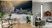 Wall mural, Frozen Footsteps, woodland path, peaceful winter retreat setting.