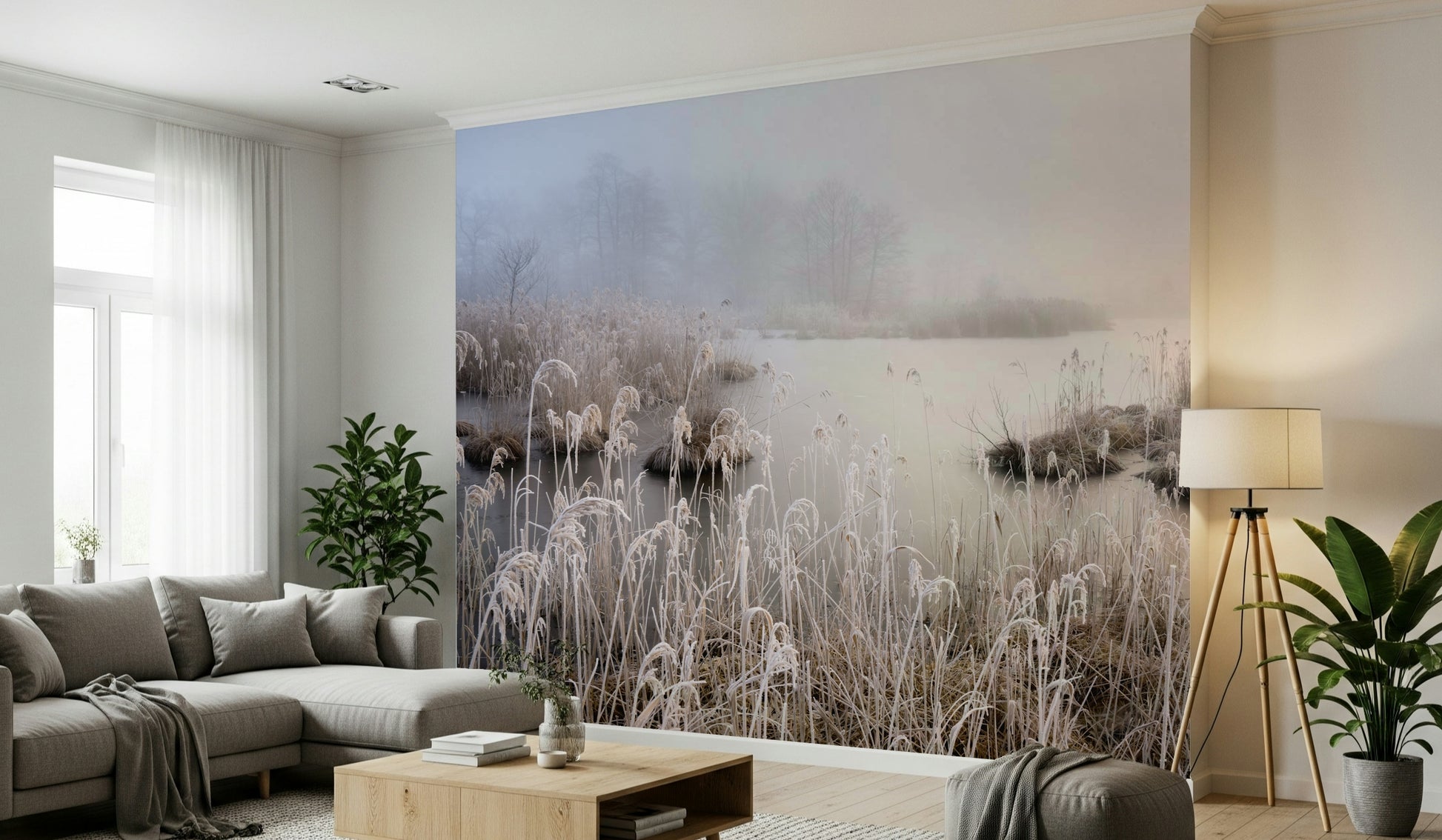 Misty morning wall decor Reeds covered in white frost, silent, calm atmosphere.