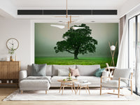 Single Ethereal Presence tree wall mural foggy landscape image.