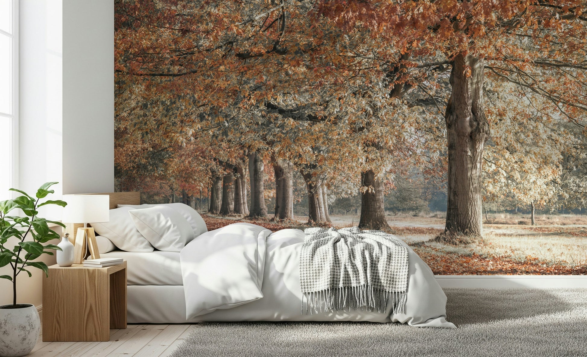 Inviting Fall Splendor wall decal, peaceful tree-lined avenue, brown leaves.