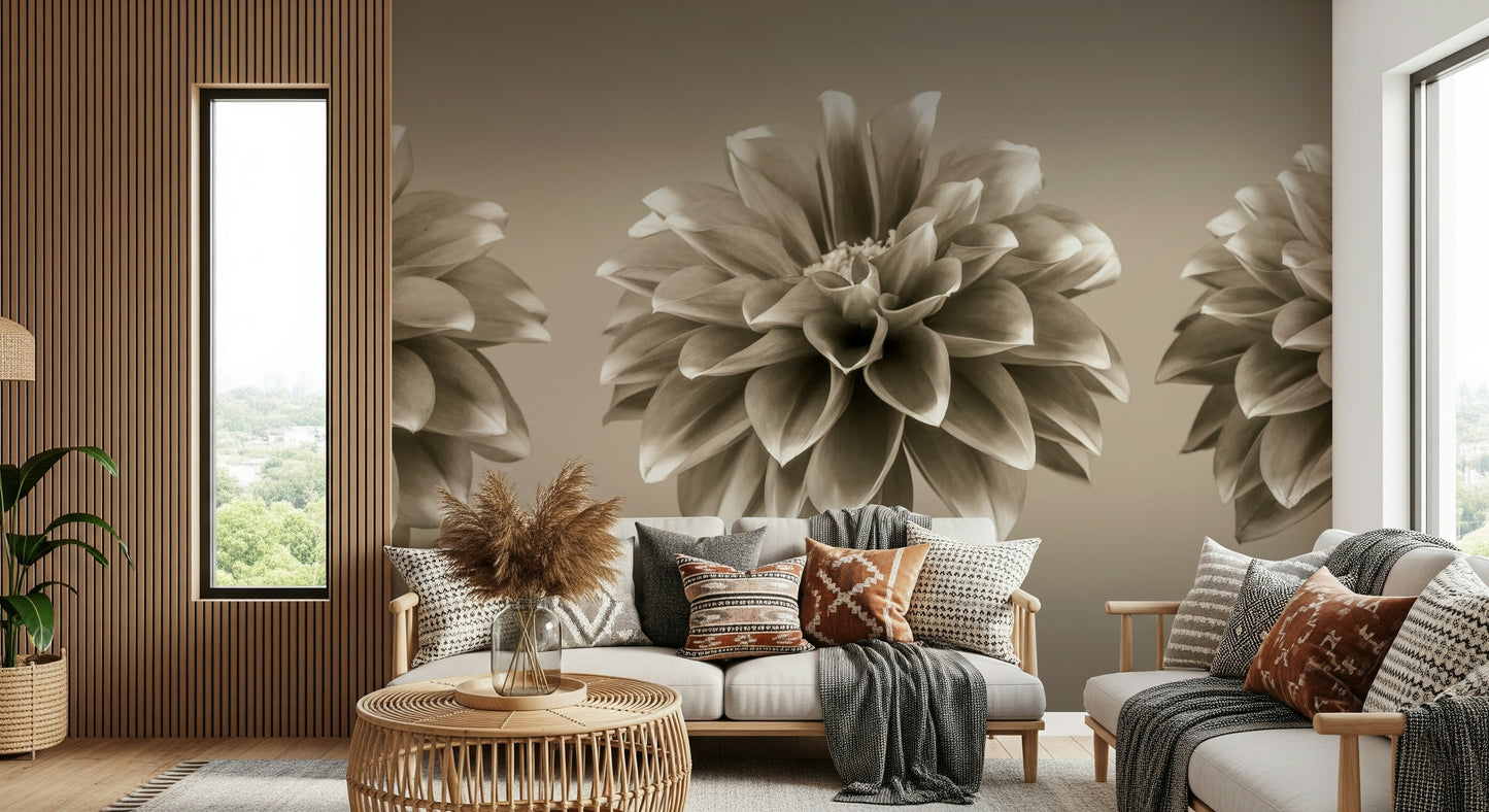 Vintage monochrome dahlia wall mural, Sepia Dahlia Trio design.