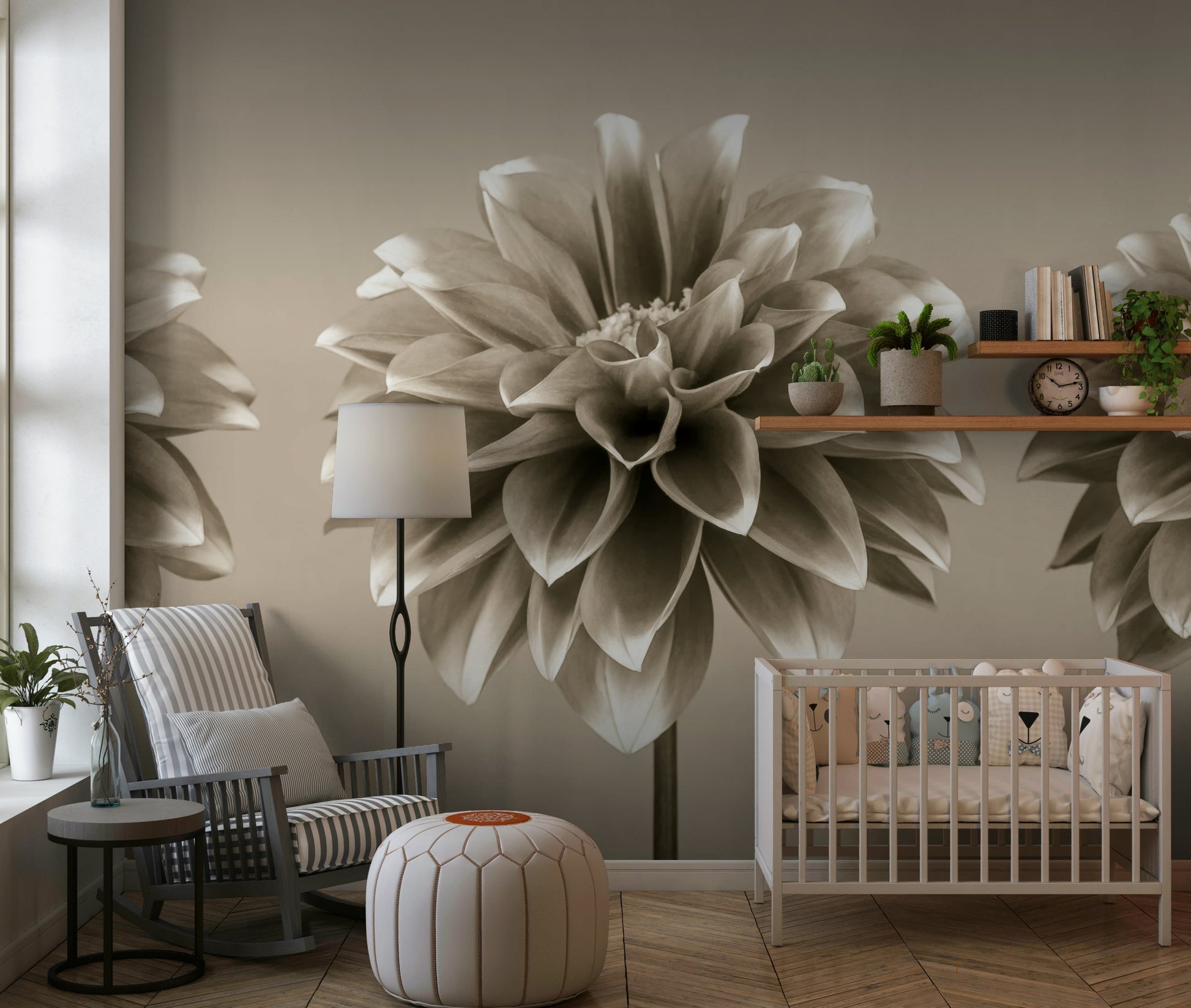Decorative bloom study, Sepia Dahlia Trio mural for walls.