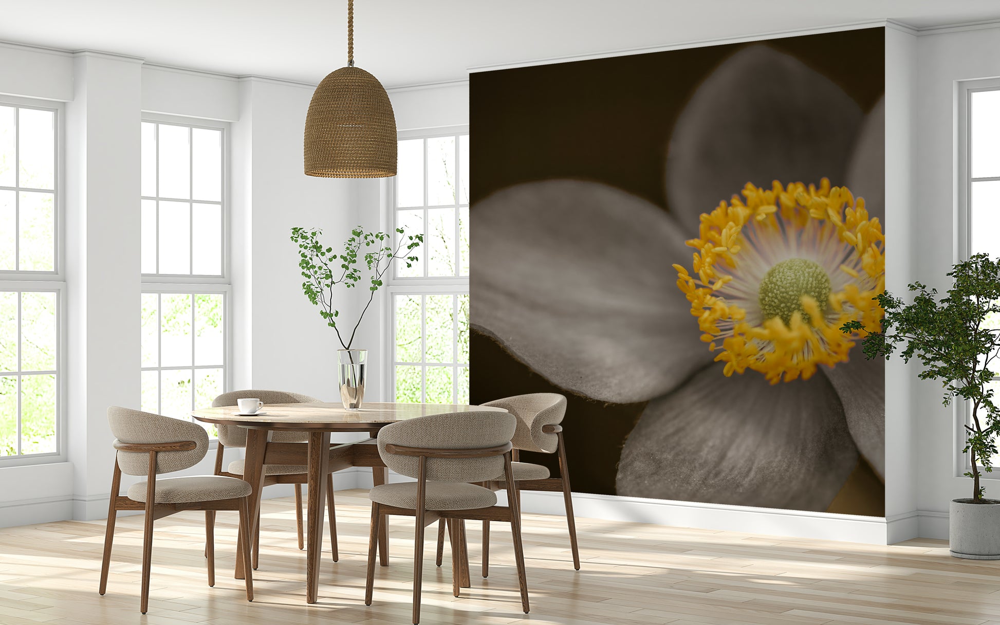 Sunlit Floral Essence, dramatic grey petal art, glowing golden stamen, wall mural.
