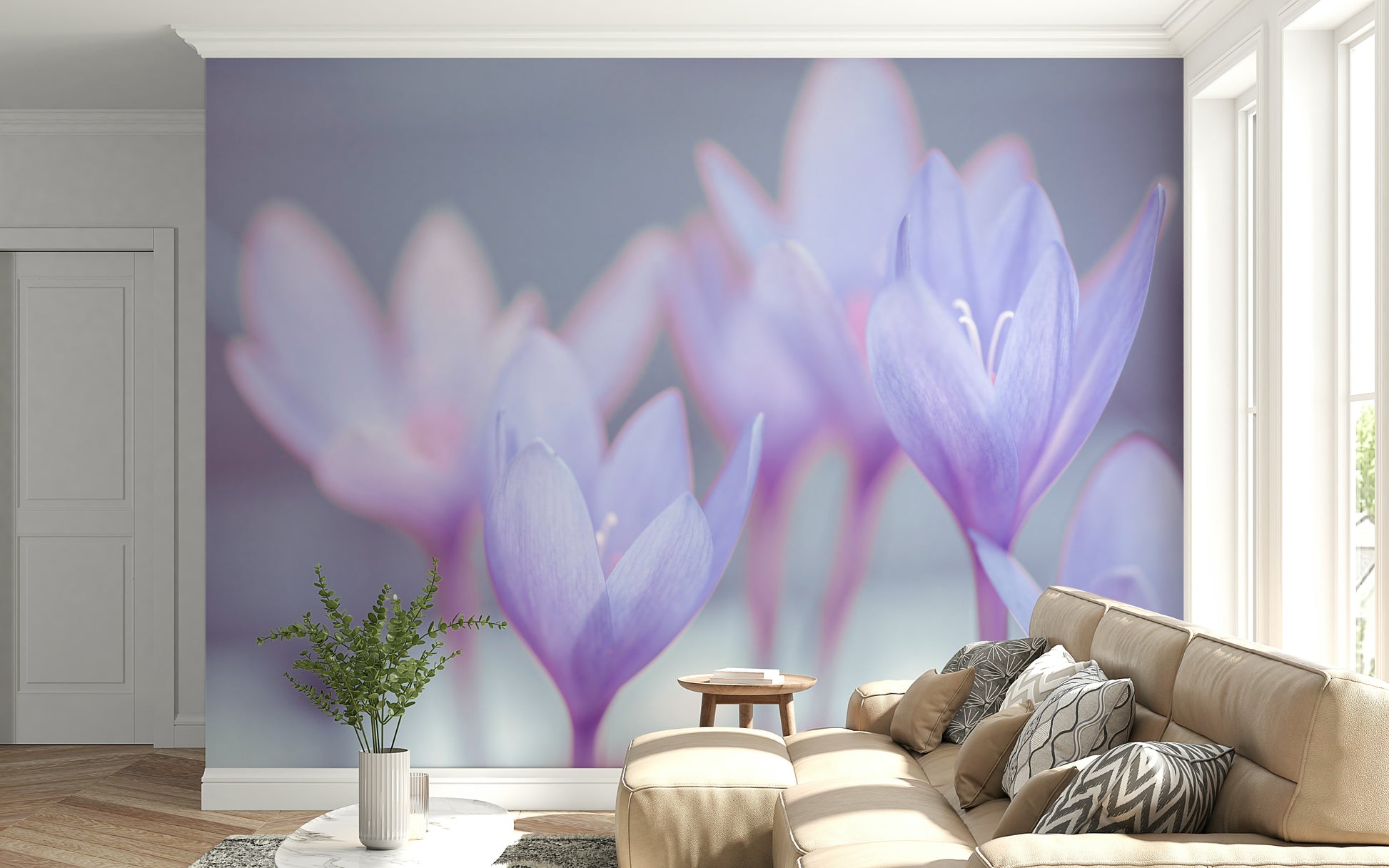 Spring flowers, gentle color graduation, sophisticated Crocus wallpaper product.
