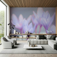 Macro photograph of spring Crocus blossoms, ethereal botanical print.