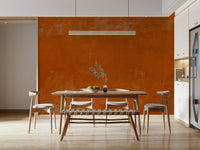 Aged Roman Sall subtle crackle mural historic design.