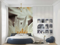 Soft focus lotus defines Whispering White Lilies for walls.