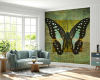 Shabby chic Gilded Butterfly wall mural with weathered text and elegant moth